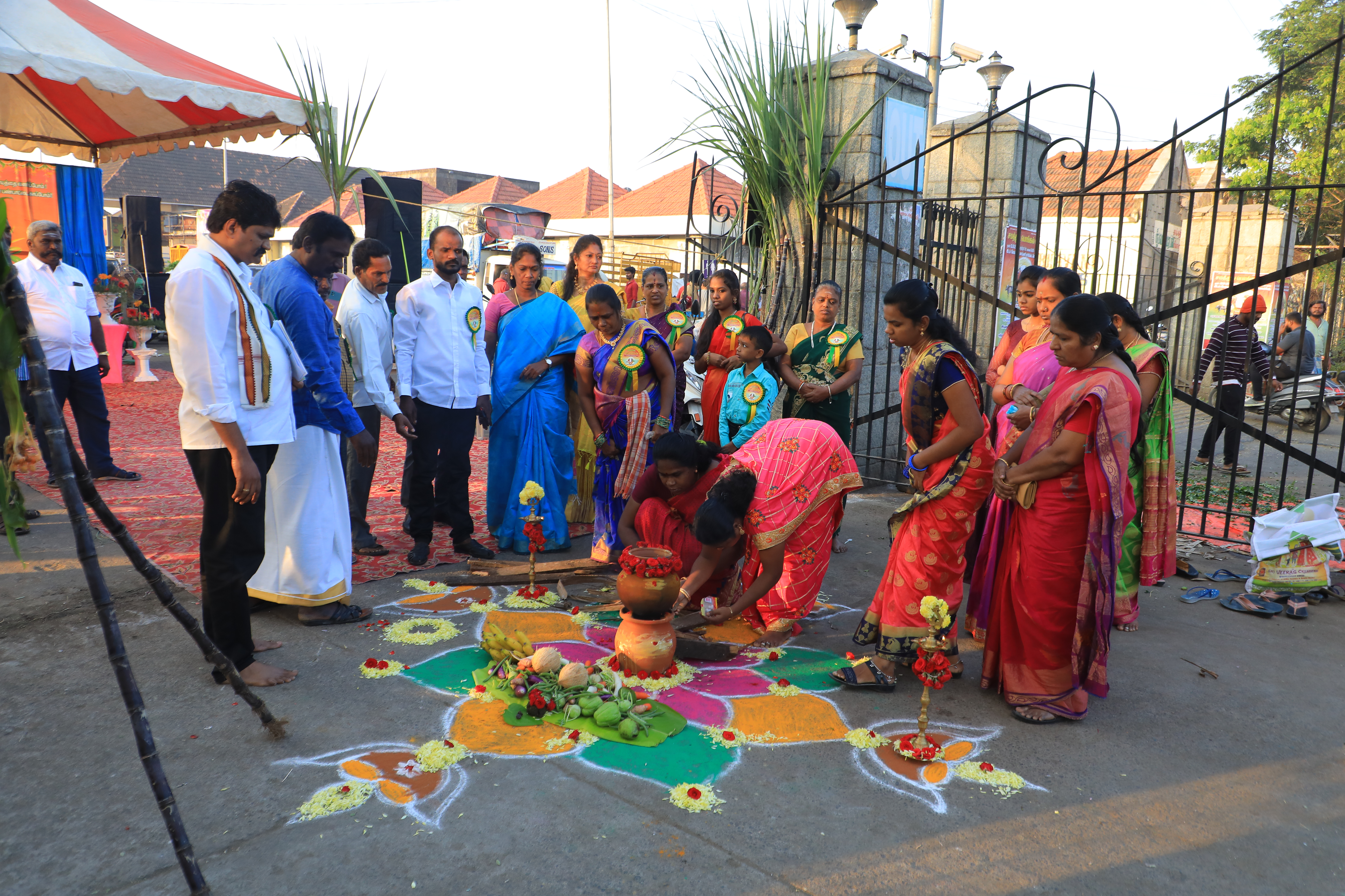 Samatthuva Pongal Celebration