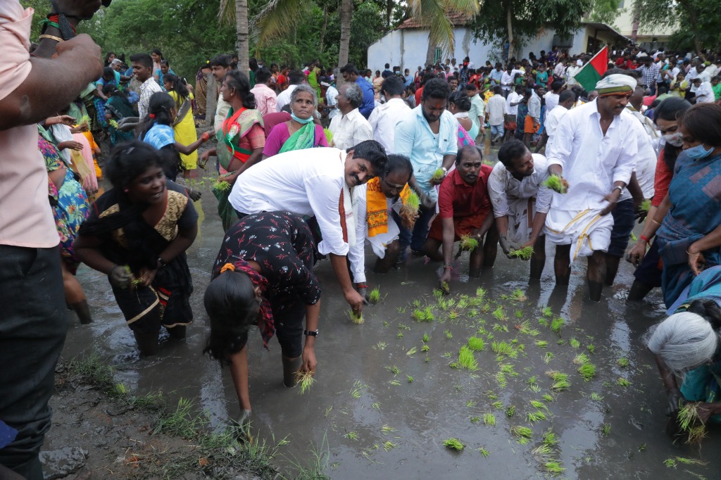 Perur Kovil Community Rice Planting