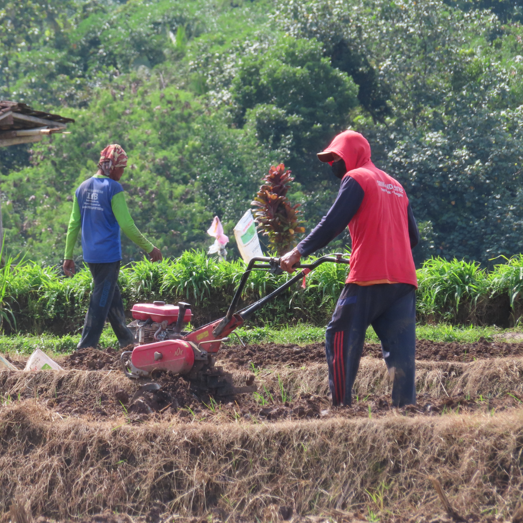 Rural & Social Development Initiatives